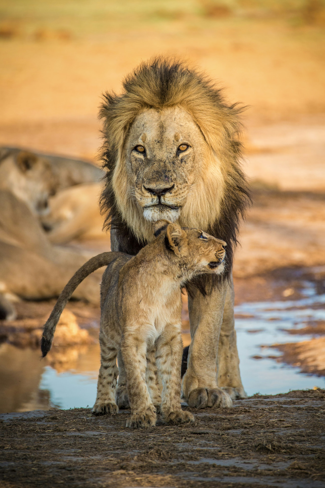 Botswana & Okavango Delta