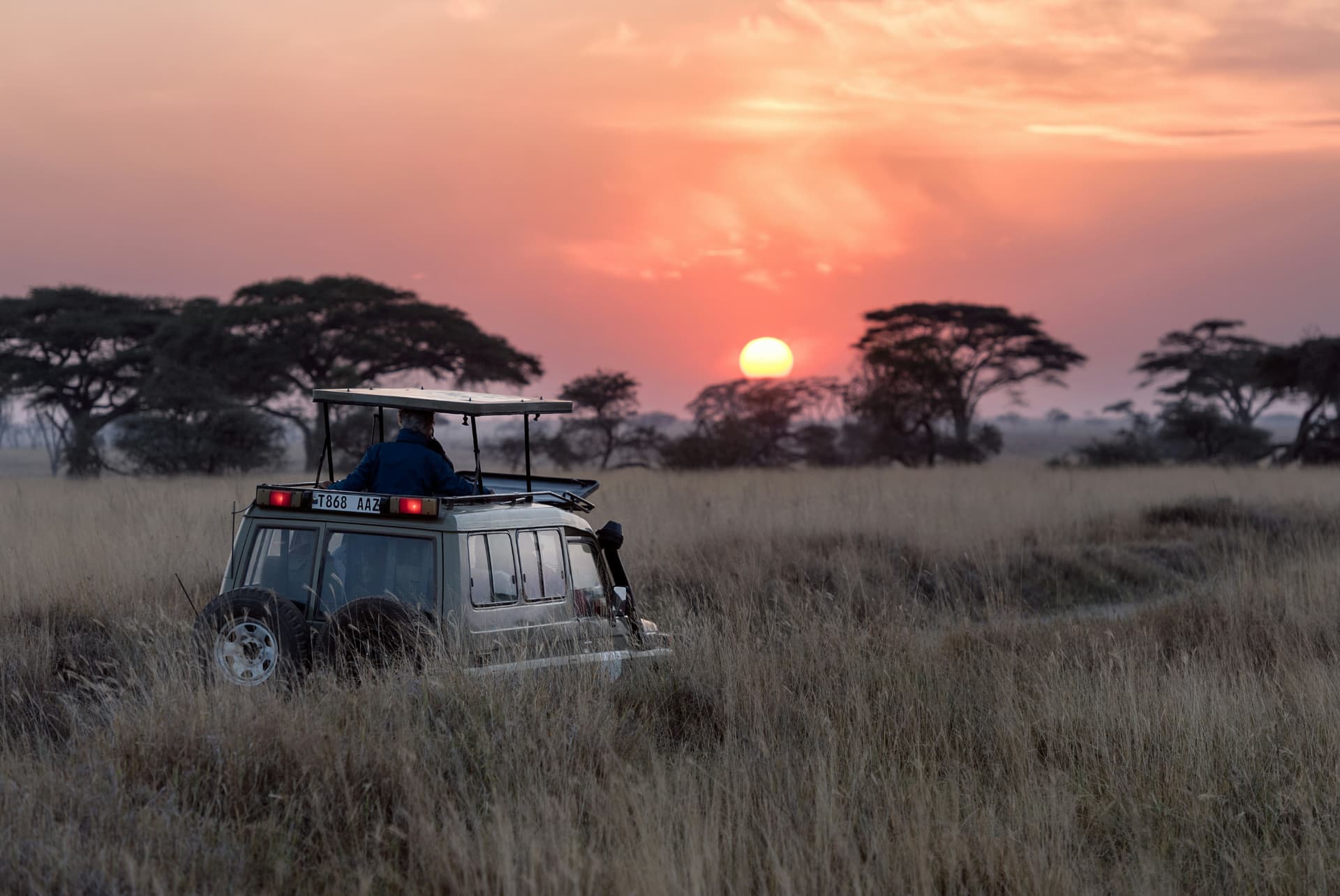Kruger & Big Five Reserves example experience