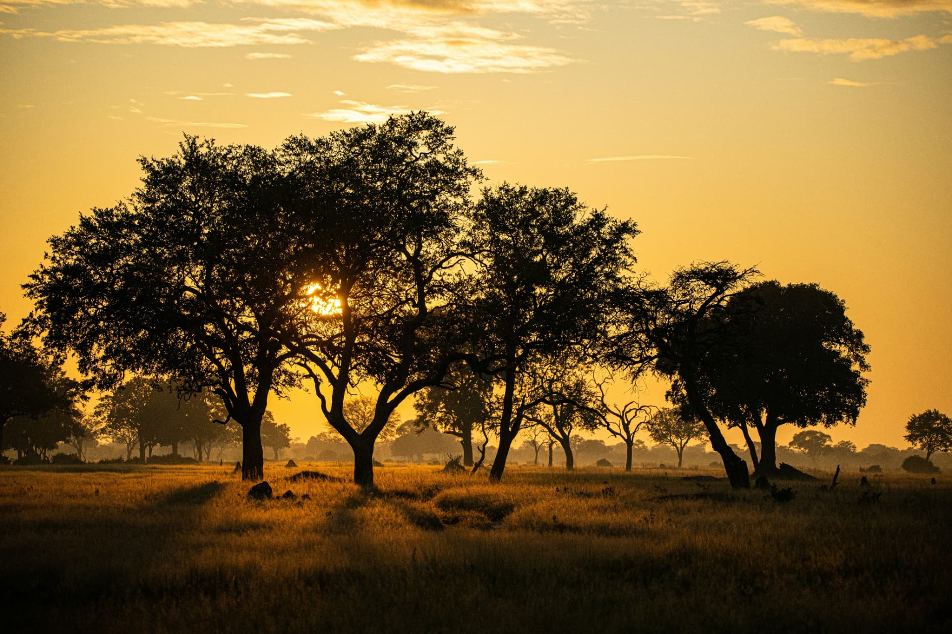 Zimbabwe art and culture