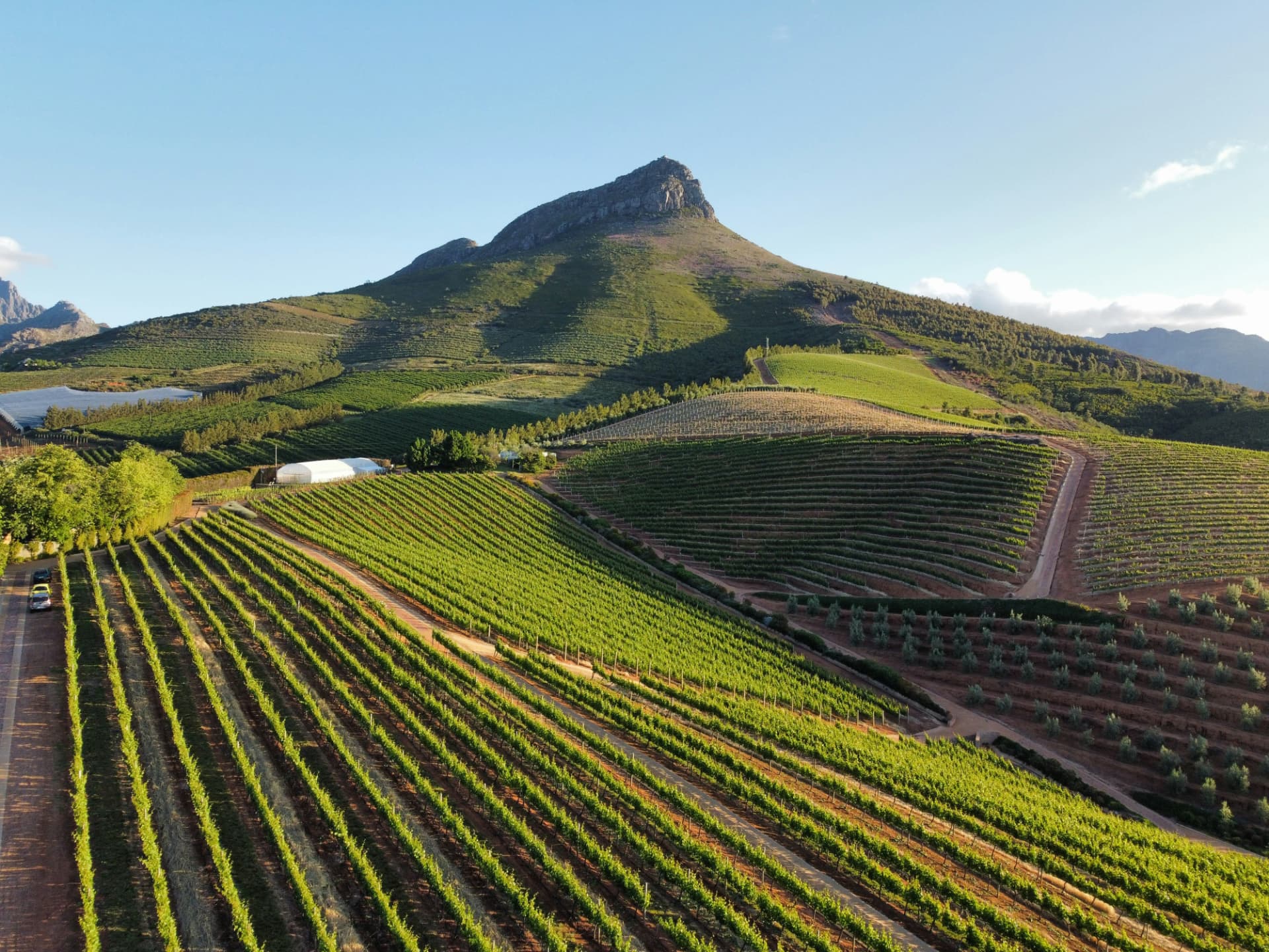 Cape Town & Winelands art and culture