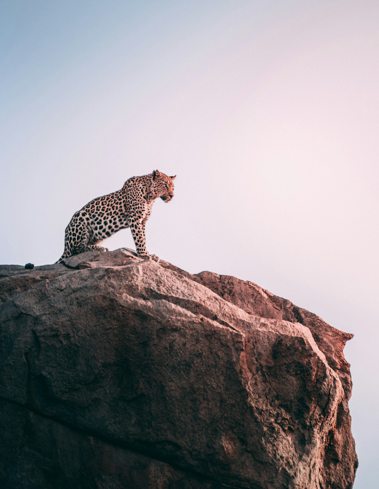 Kruger & Big Five Reserves art and culture