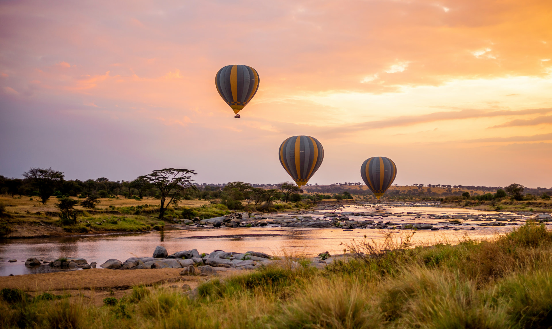 Tanzania / Serengeti & Zanzibar