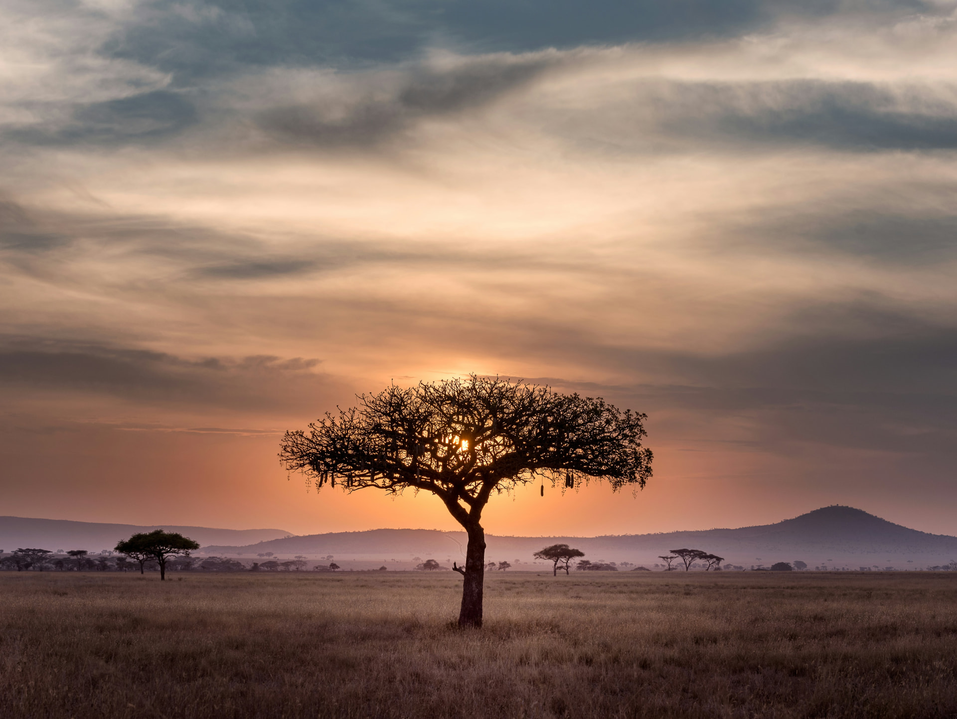 Tanzania / Serengeti & Zanzibar art and culture