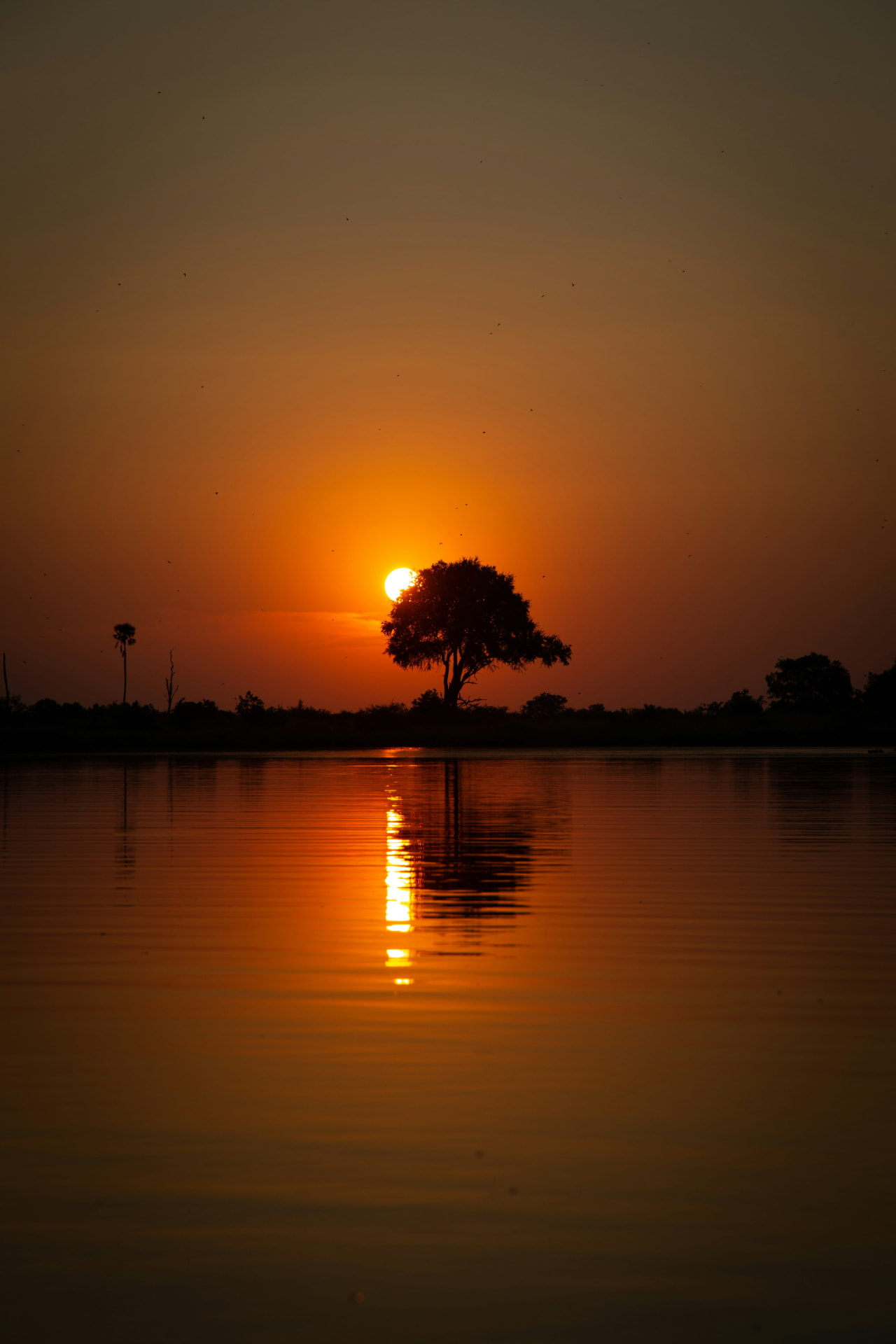 Botswana & Okavango Delta example experience