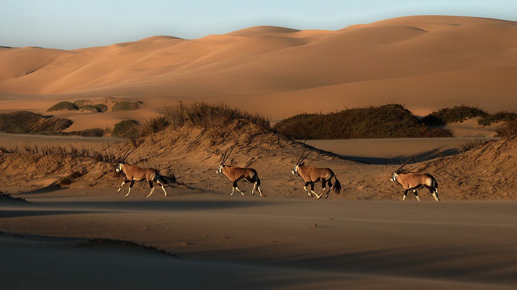 Namibia