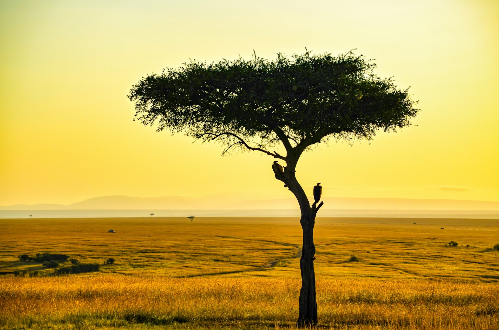 Kenya & Masai Mara art and culture