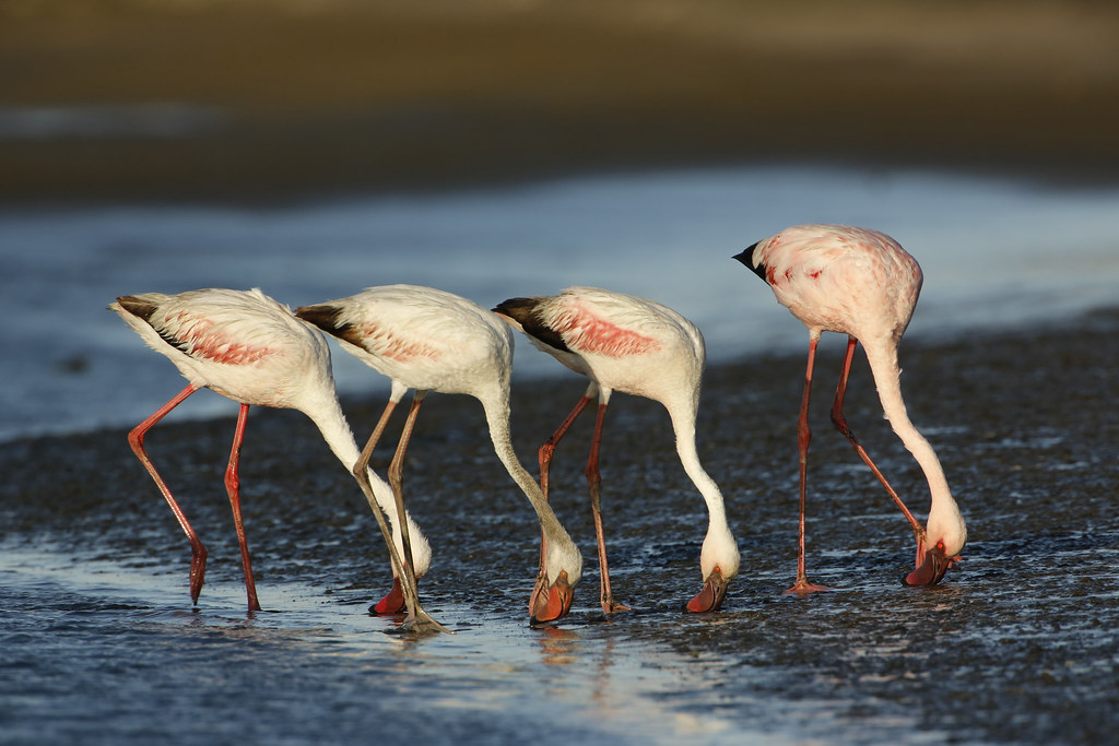 Namibia example experience